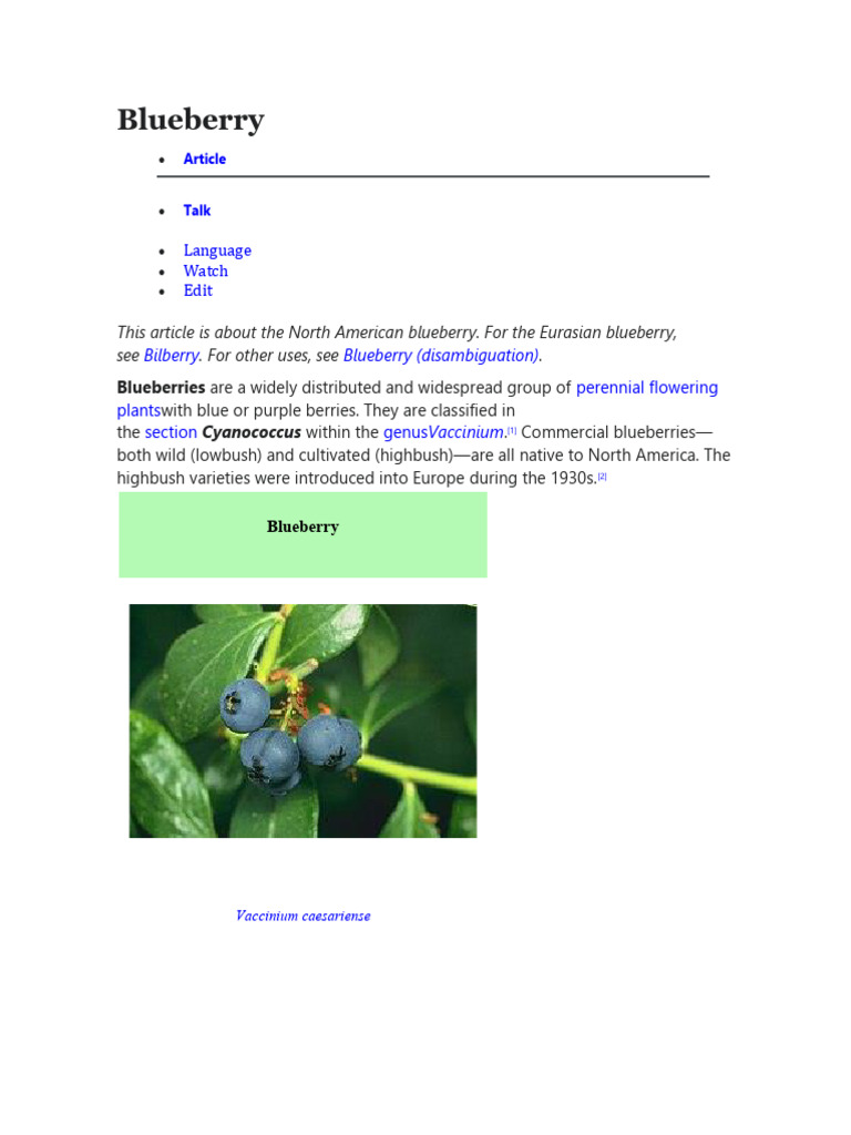 Blueberry | PDF