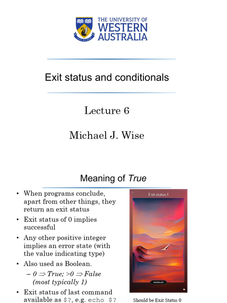 Exit Status and Conditionals in Bash | PDF | Computing | Computer ...