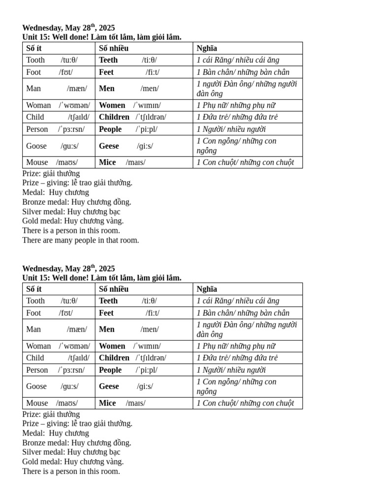 FF2 A, L P Ms Huyen | PDF