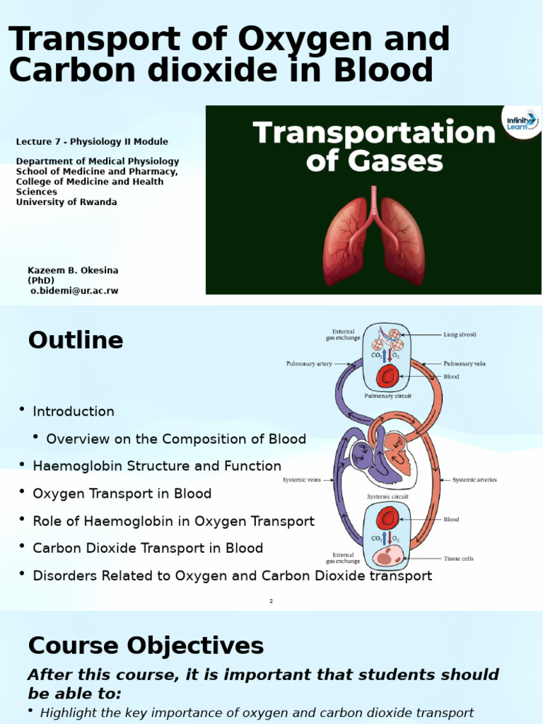 Oxygen and Carbon Dioxide Transport in Blood Dr. Okesina | PDF ...