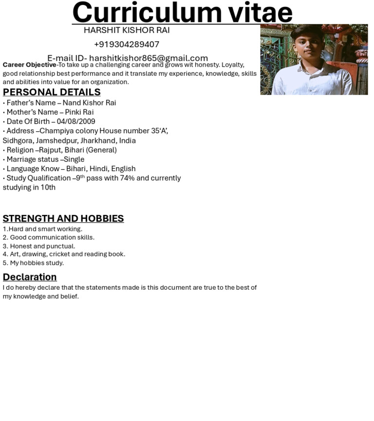 Harshit Kishor Rai CV Summary | PDF