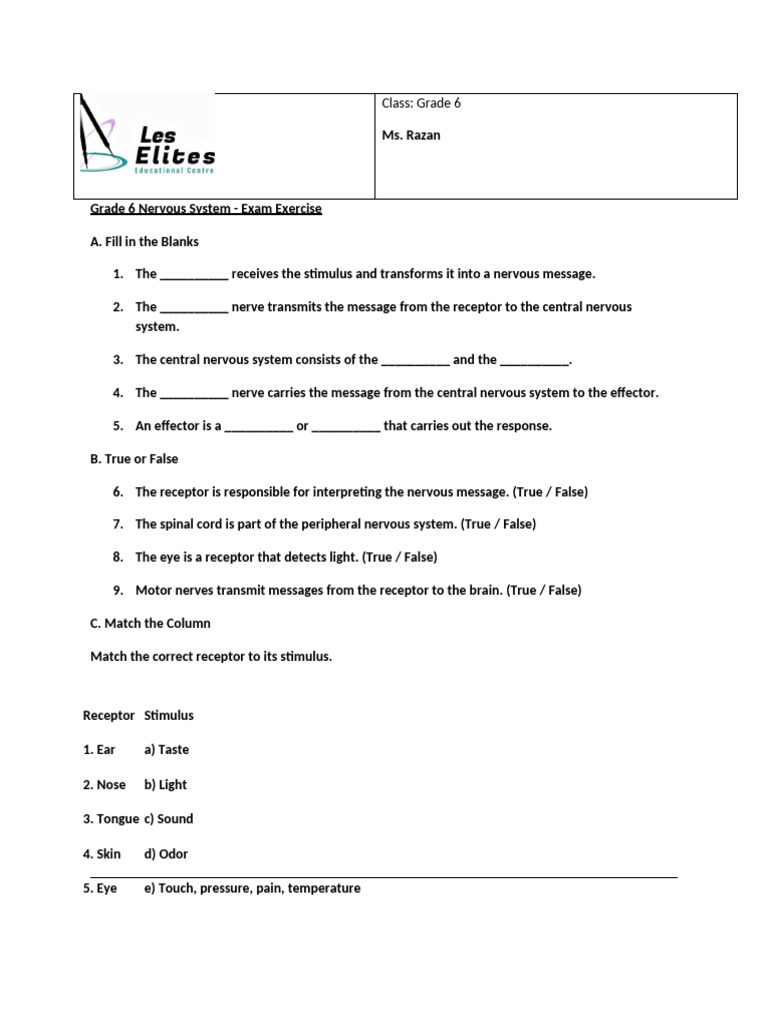 Grade 6 Nervous System Exam Guide | PDF
