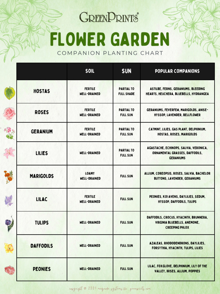 Flower Companion Planting Guide | PDF | Horticulture | Garden Plants