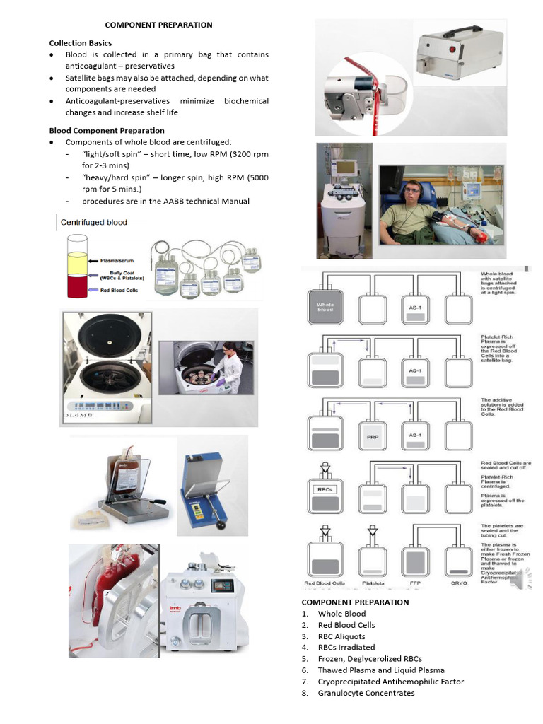 Blood Component Preparation Guide | PDF | Blood Transfusion | Blood Plasma