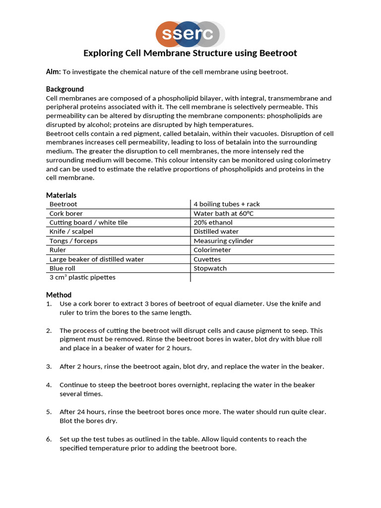 Investigating Beetroot Cell Membrane Permeability | PDF | Cell Membrane ...