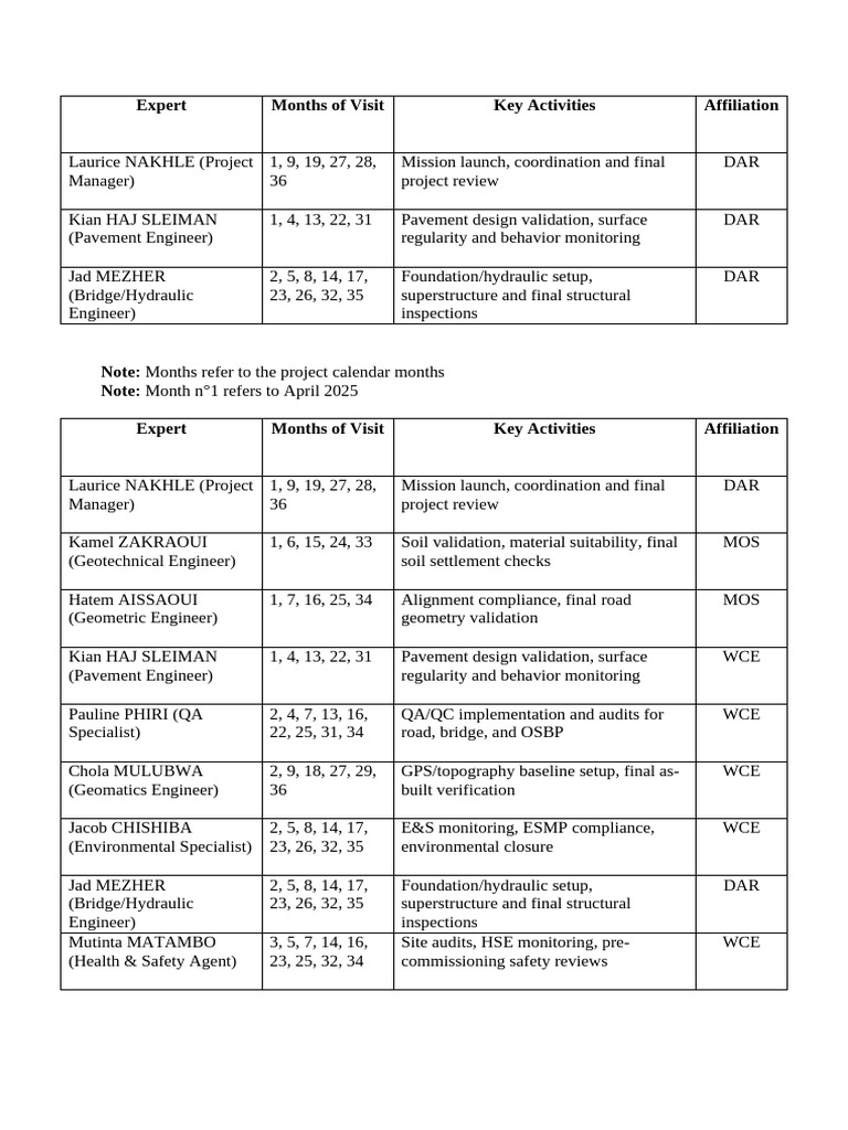 Project Expert Roles and Activities Summary | PDF | Engineering | Civil ...