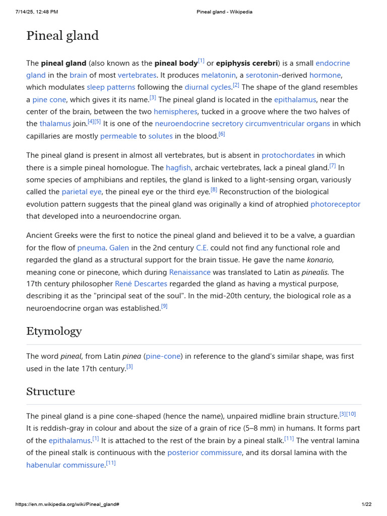 Pineal Gland | PDF | Human Anatomy