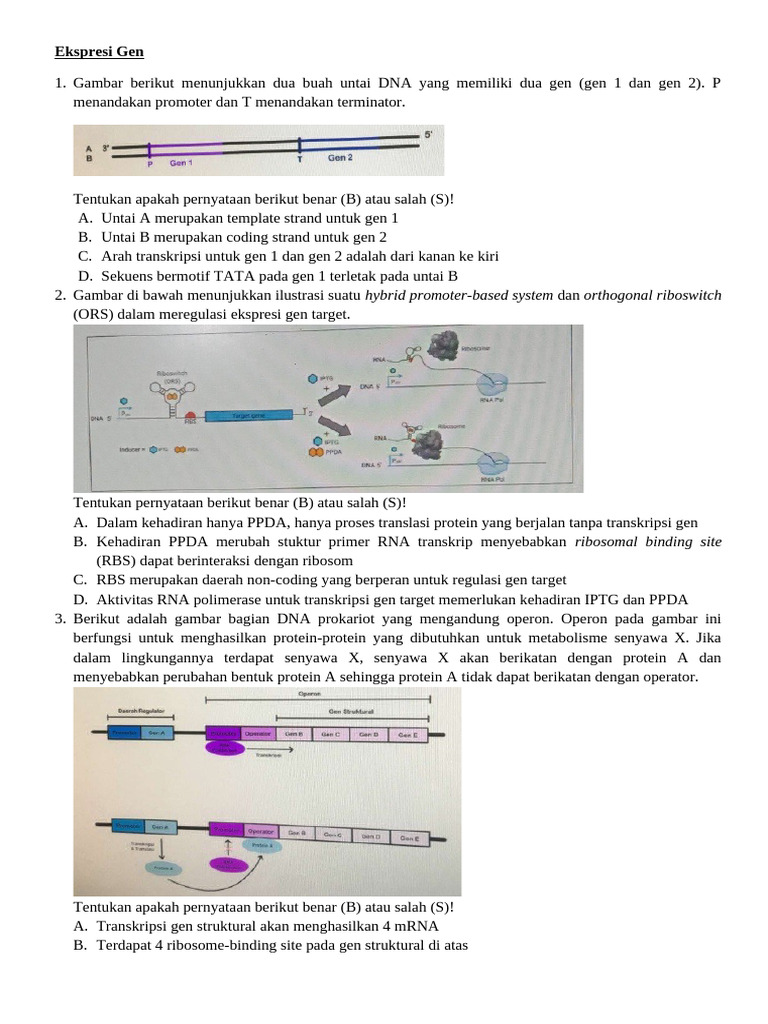 Regulasi Ekspresi Gen dalam Biologi Sel | PDF