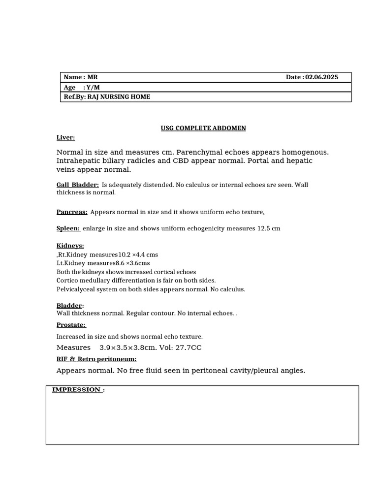 Abdomen Ultrasound Report Summary | PDF