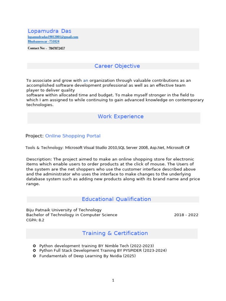 Software Developer Resume Overview | PDF