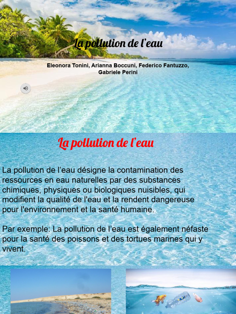 Causes de la pollution de l'eau | PDF