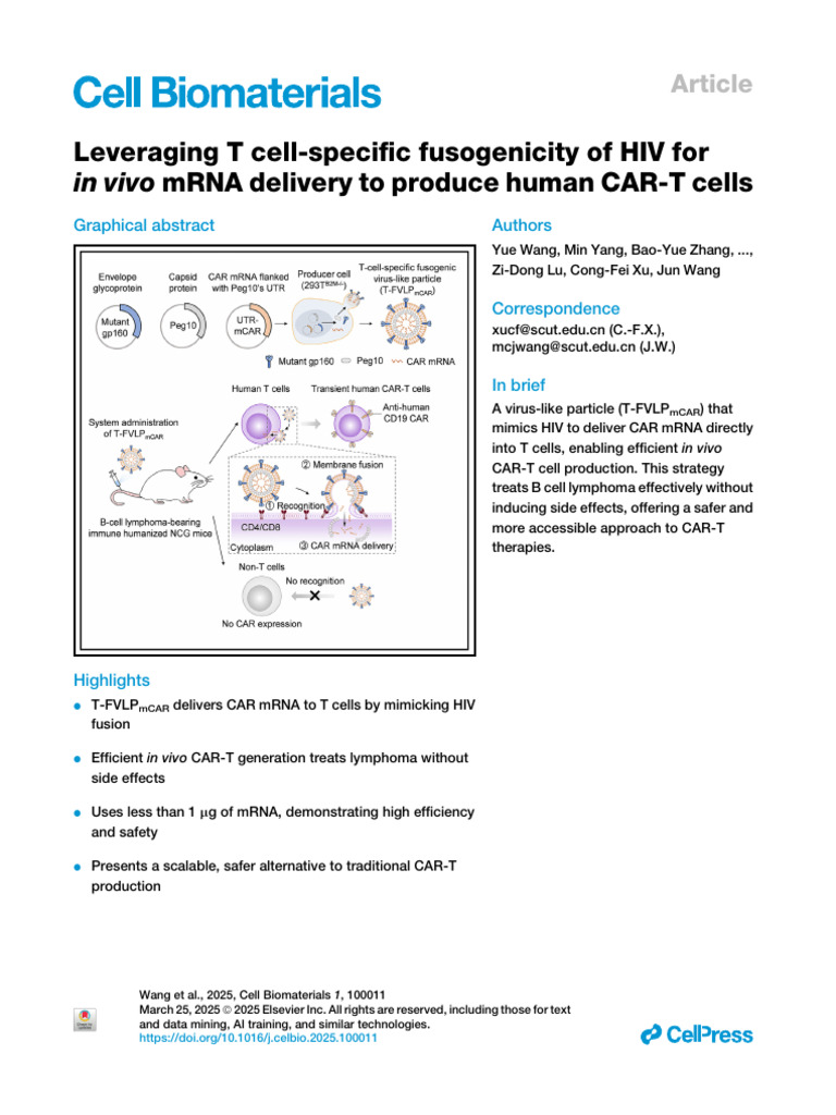 HIV-Mimicking Particles for CAR-T mRNA Delivery | PDF | Virus | T Cell