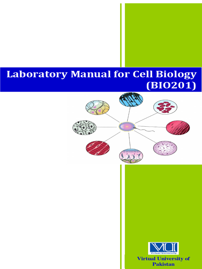 Cell Biology Laboratory Manual | PDF | Meiosis | Mitosis
