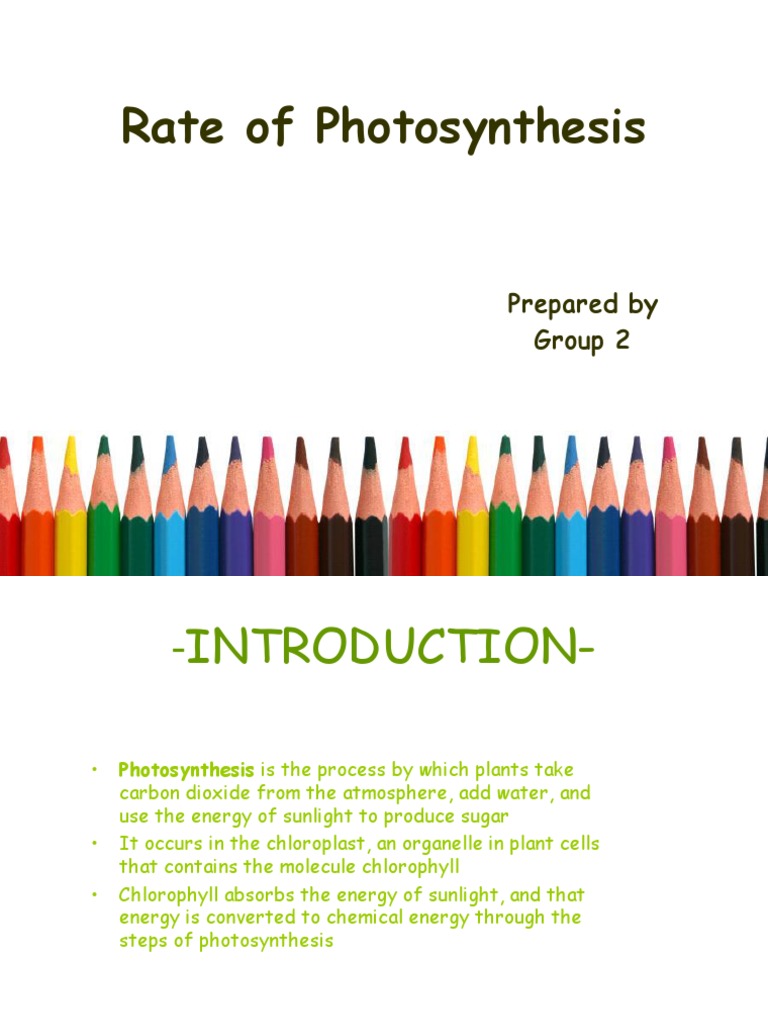 Rate of Photosynthesis.plant Physio Photosynthesis Sodium Bicarbonate