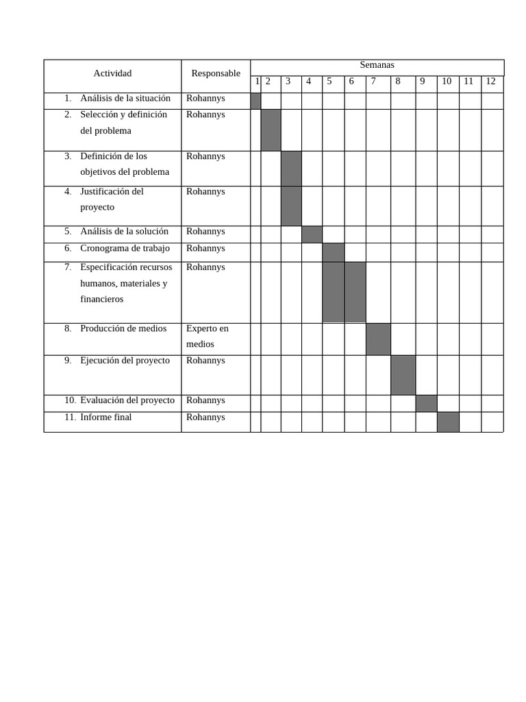 Cronograma de Actividades | PDF