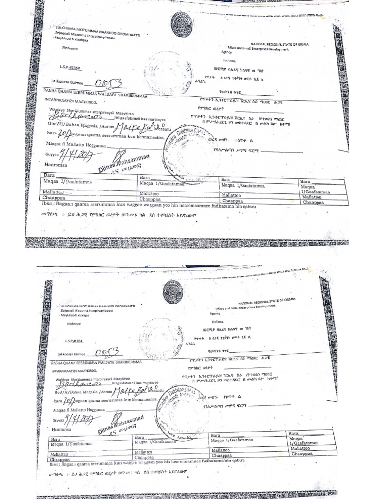 New Doc 4 | PDF