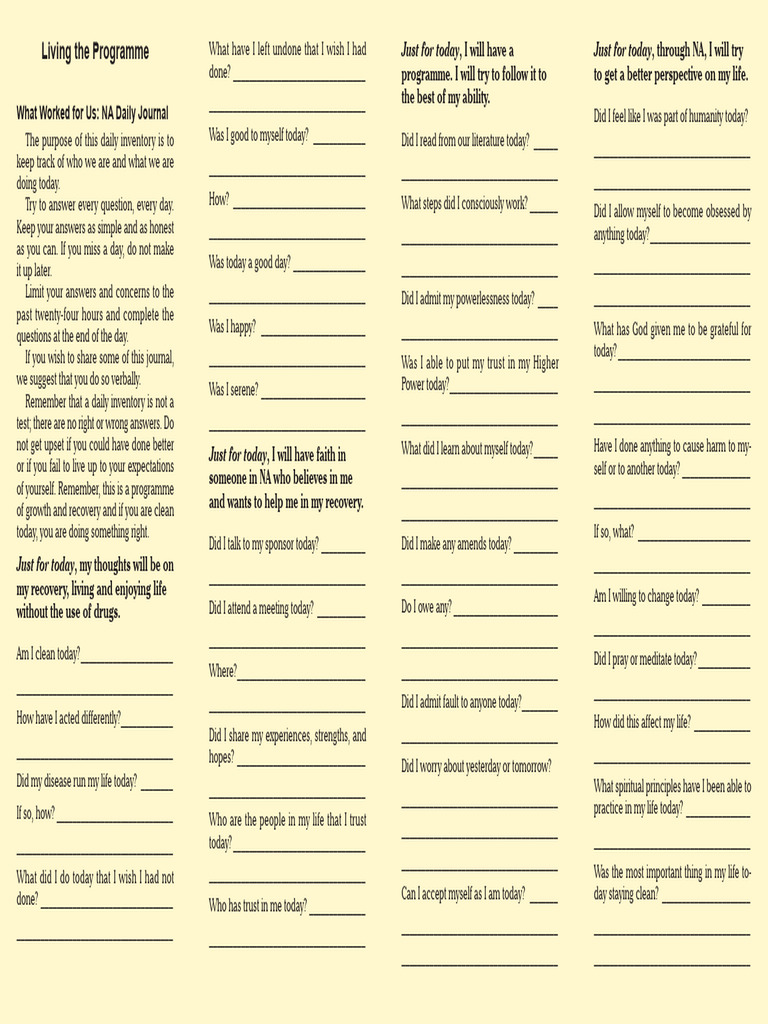 Daily Inventory for Recovery | PDF
