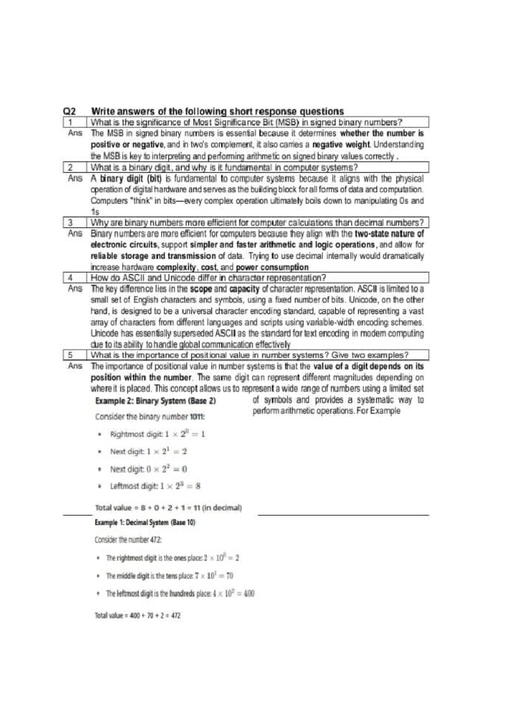Cs Chapter 1 | PDF