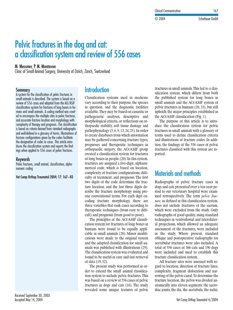 Pelvic Fracture Classification in Pets | PDF | Pelvis | Musculoskeletal ...
