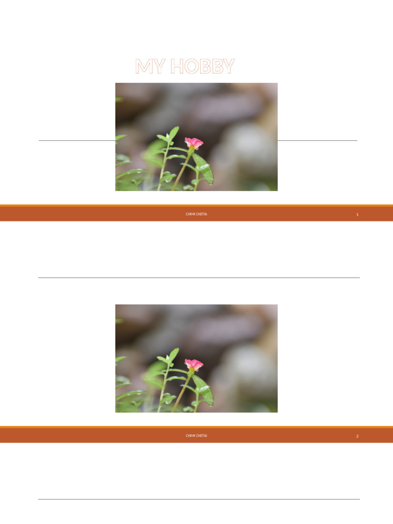 Practice 4 | PDF