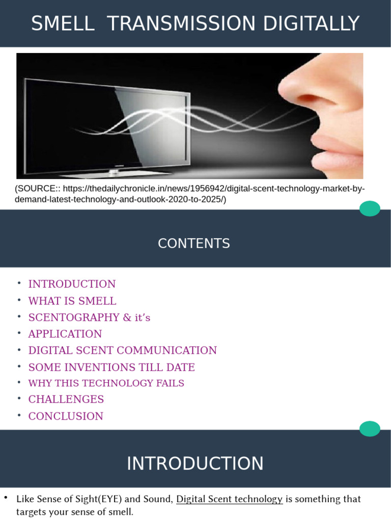 Smell Transmission | PDF | Odor | Brain
