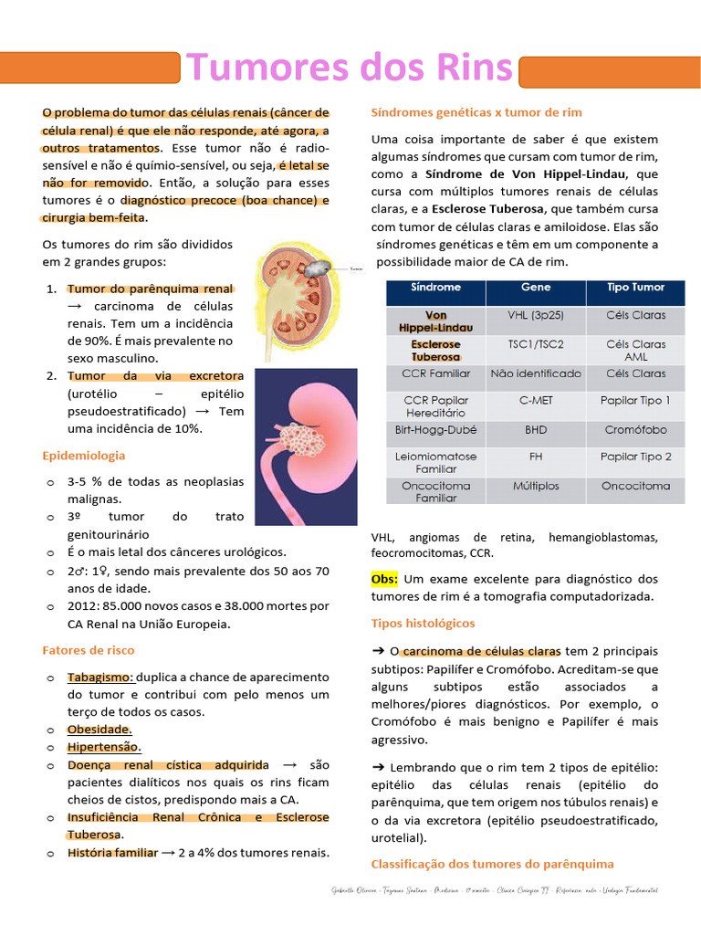03.2 Tumores Dos Rins-1 | PDF | Câncer | Neoplasmas
