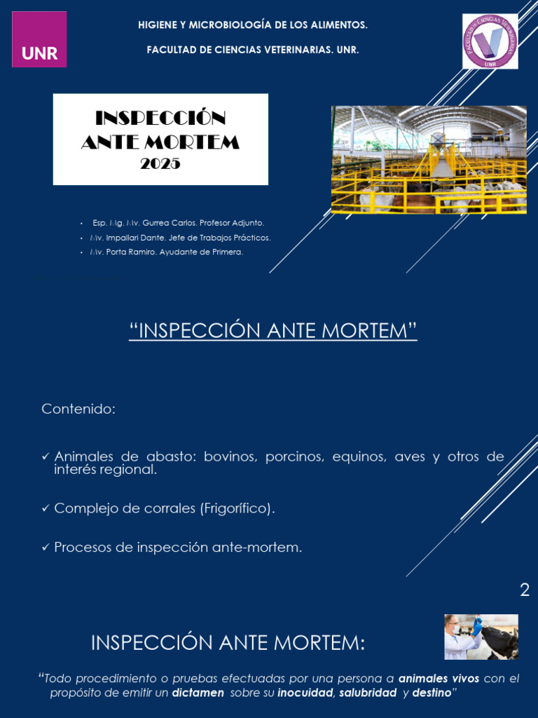 Inspección Ante Mortem en Frigoríficos | PDF | Matadero | Medicina ...