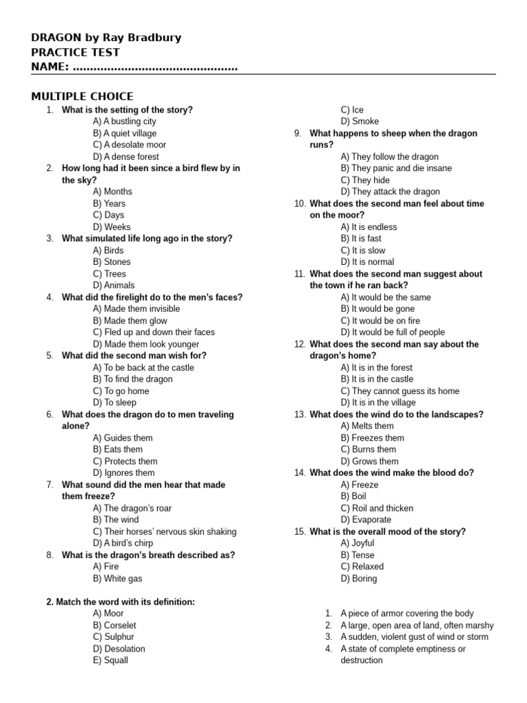 Dragon Assessment Practice Test | PDF | Dragon