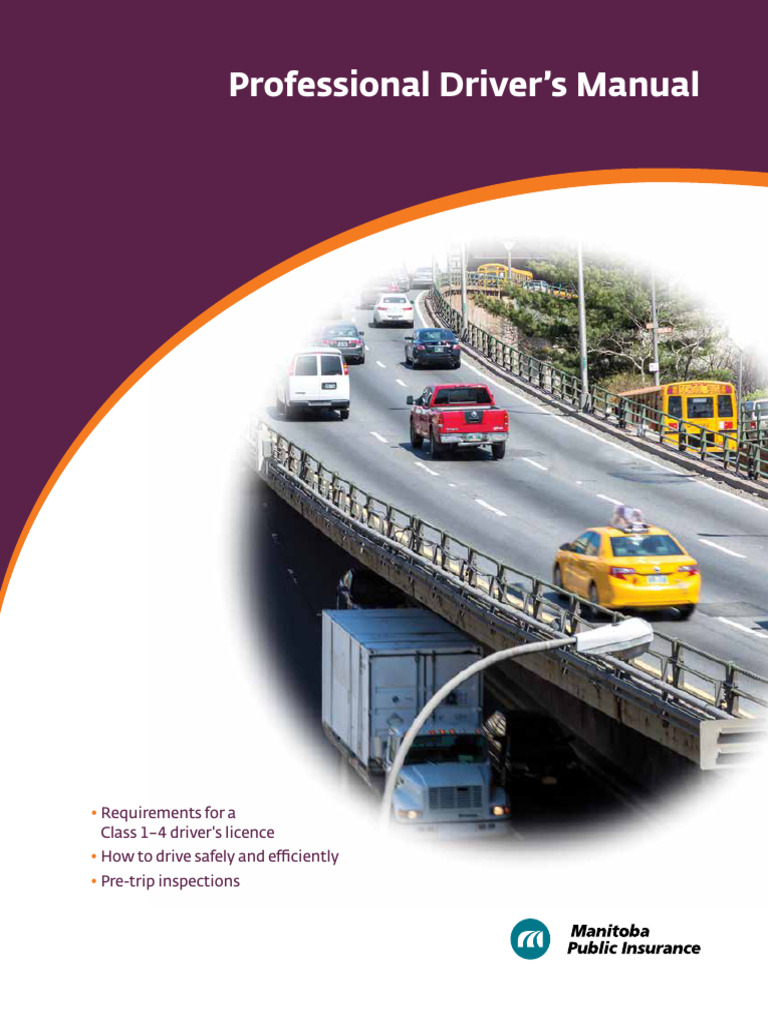 Professional Driver's License Guide | PDF | Driving | Truck