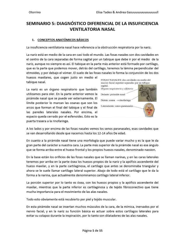 Seminario 5. Diagnóstico Diferencial de La Insufuciencia Respiratoria ...