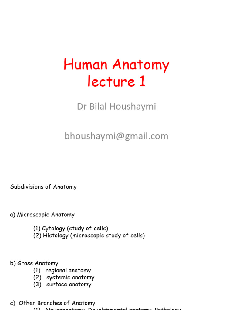Anatomical Position and Body Cavities | PDF | Anatomy | Human Anatomy