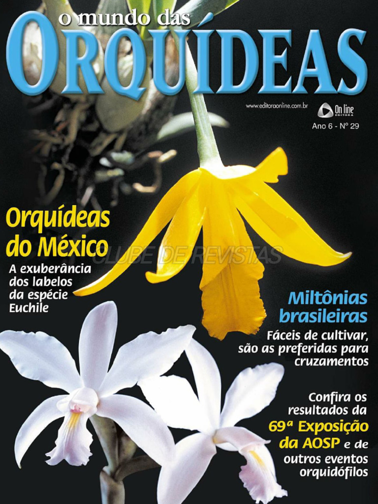 O Mundo Das Orquídeas #29 - Jul23 | PDF