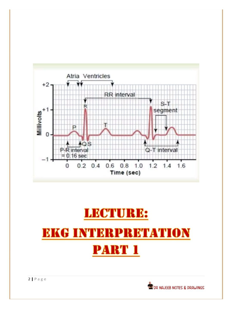 Ekg Interpretation Part 1 Pdf