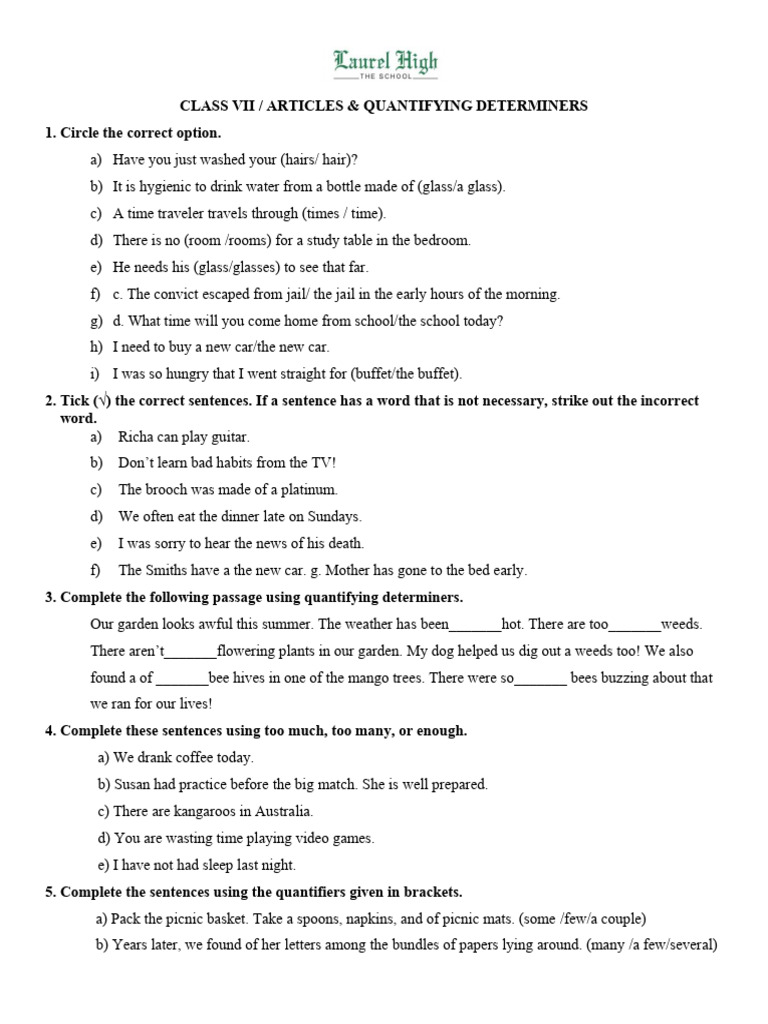 Determiners 7 | PDF