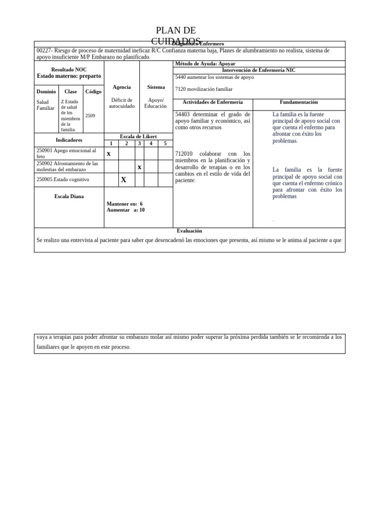 Plan de Cuidados | PDF | Cuidado de la salud | Especialidades Medicas