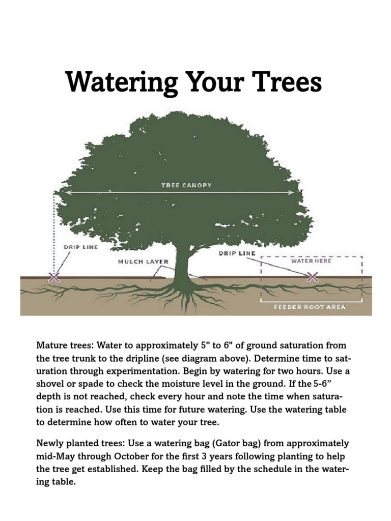 Fruit Tree Watering Guidelines | PDF