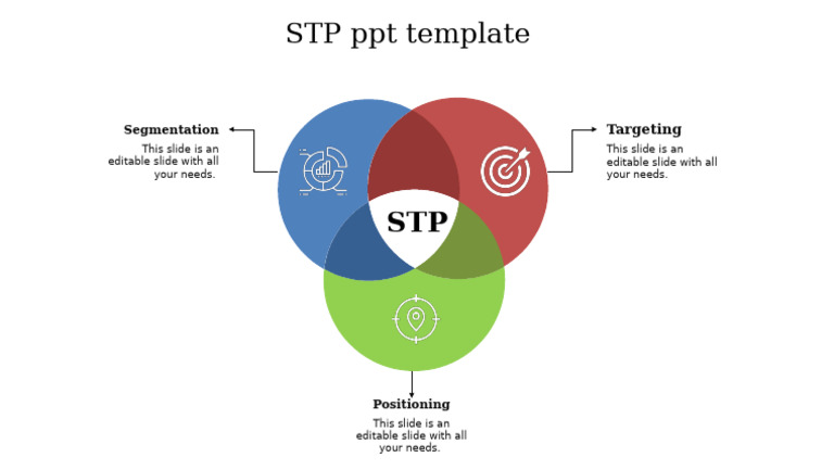 STP Template for Segmentation and Targeting | PDF