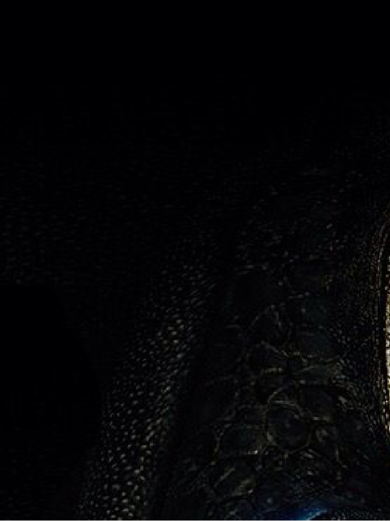 Blockposter-021041 - HTTYD Toothless Poster | PDF