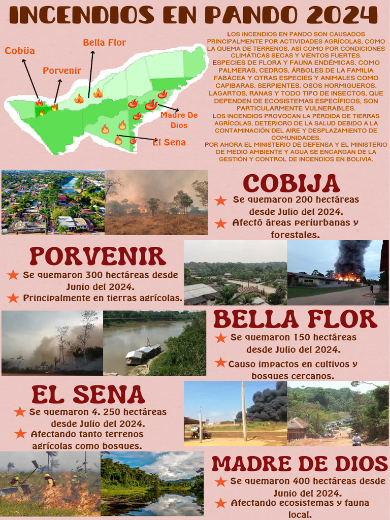 Incendios en Pando 2024 | PDF | Fuego fatuo | Los bosques