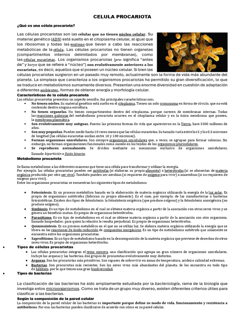 Características y tipos de células procariotas | PDF | Biología Celular ...