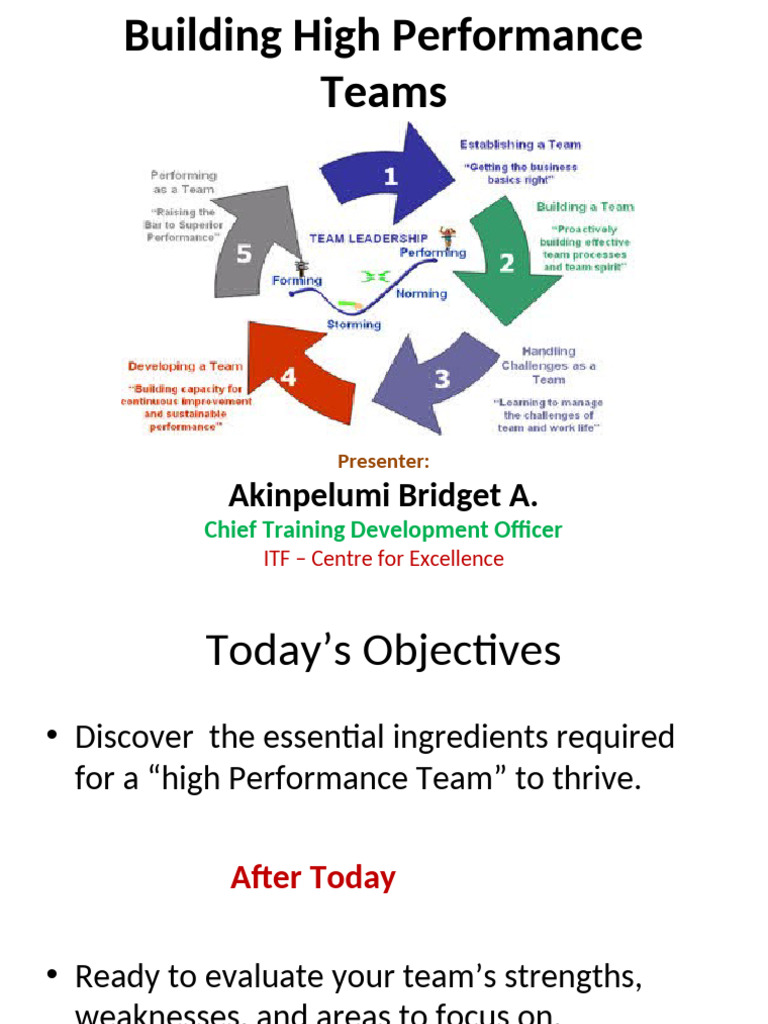 Building High Performing Team | PDF | Psychology | Behavioural Sciences