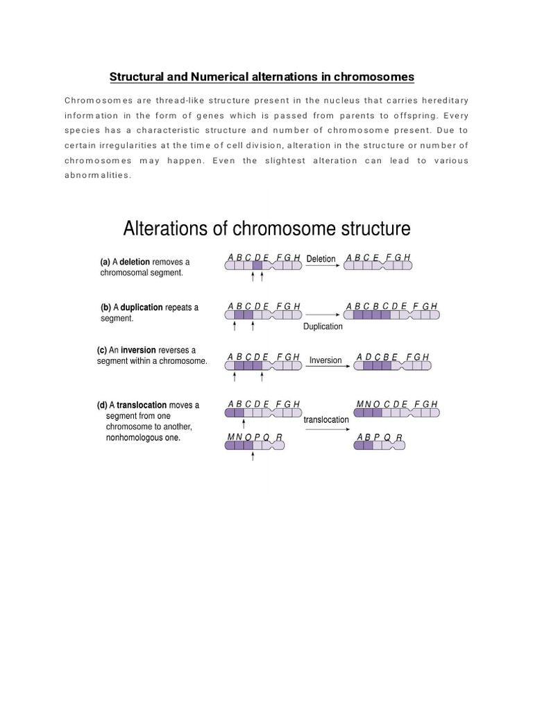 Chromosomal Abnormalities Overview | PDF | Diseases And Disorders ...