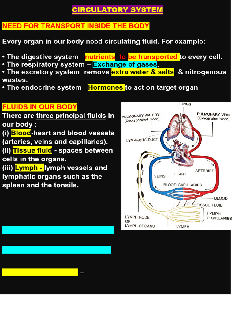 Class 10 ICSE Circulatory System Notes | PDF