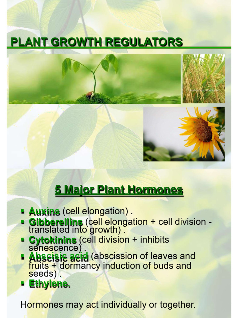 Overview of Plant Growth Regulators | PDF | Plant Hormone | Auxin