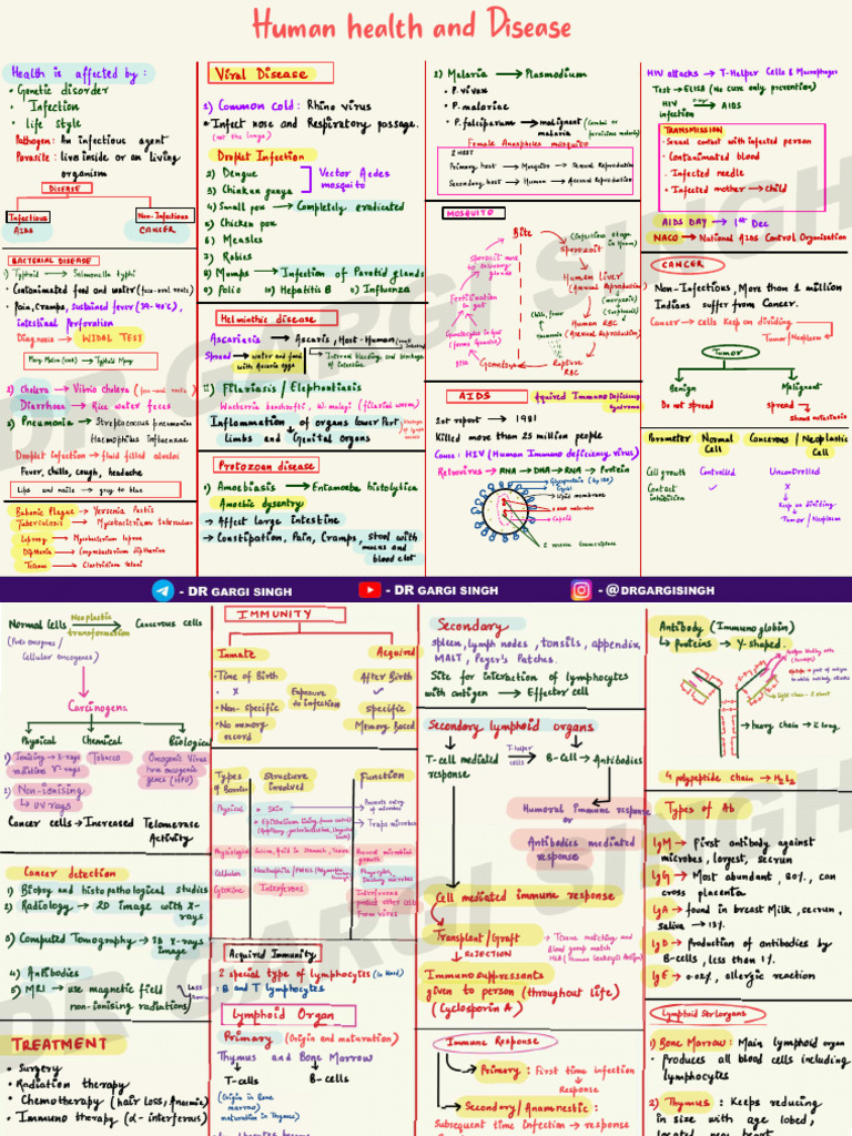 DR Gargi - 2 Page Notes - Human Health and Disease | PDF | Infection ...