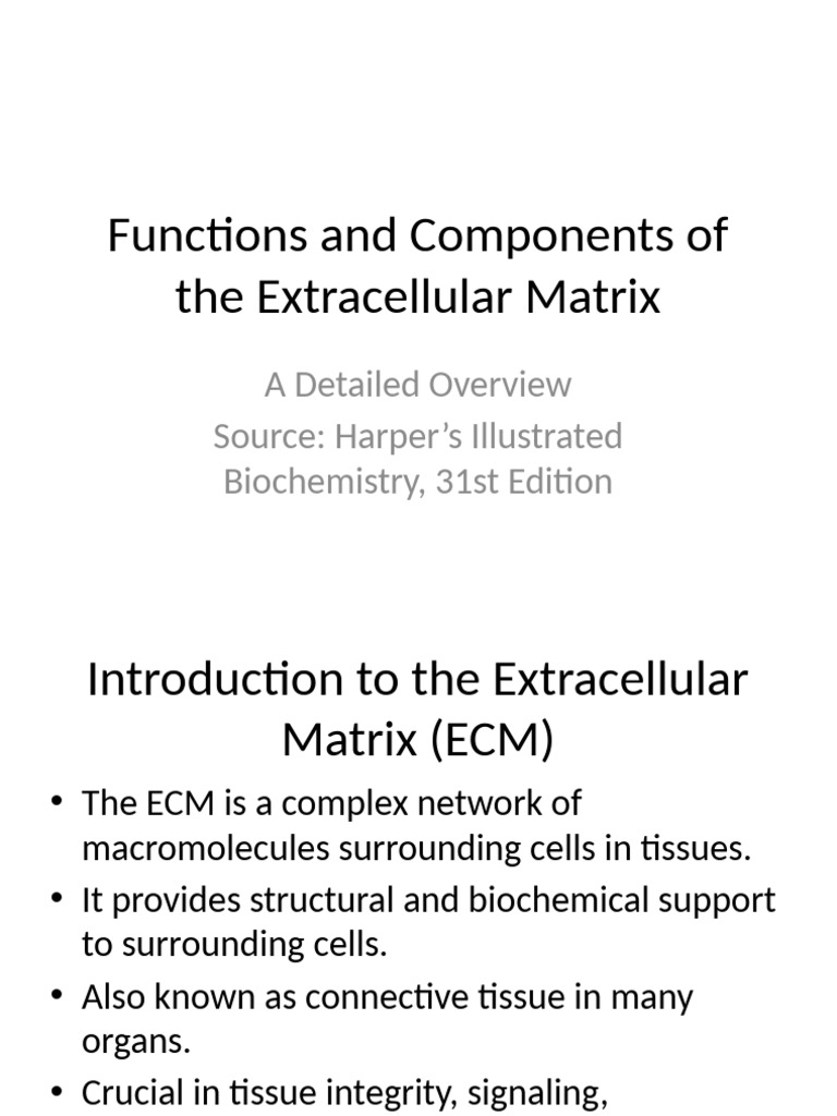 ECM Functions and Components Overview | PDF | Extracellular Matrix ...