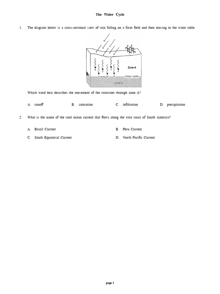 Water Cycle Processes and Questions | PDF | Water Cycle | Water