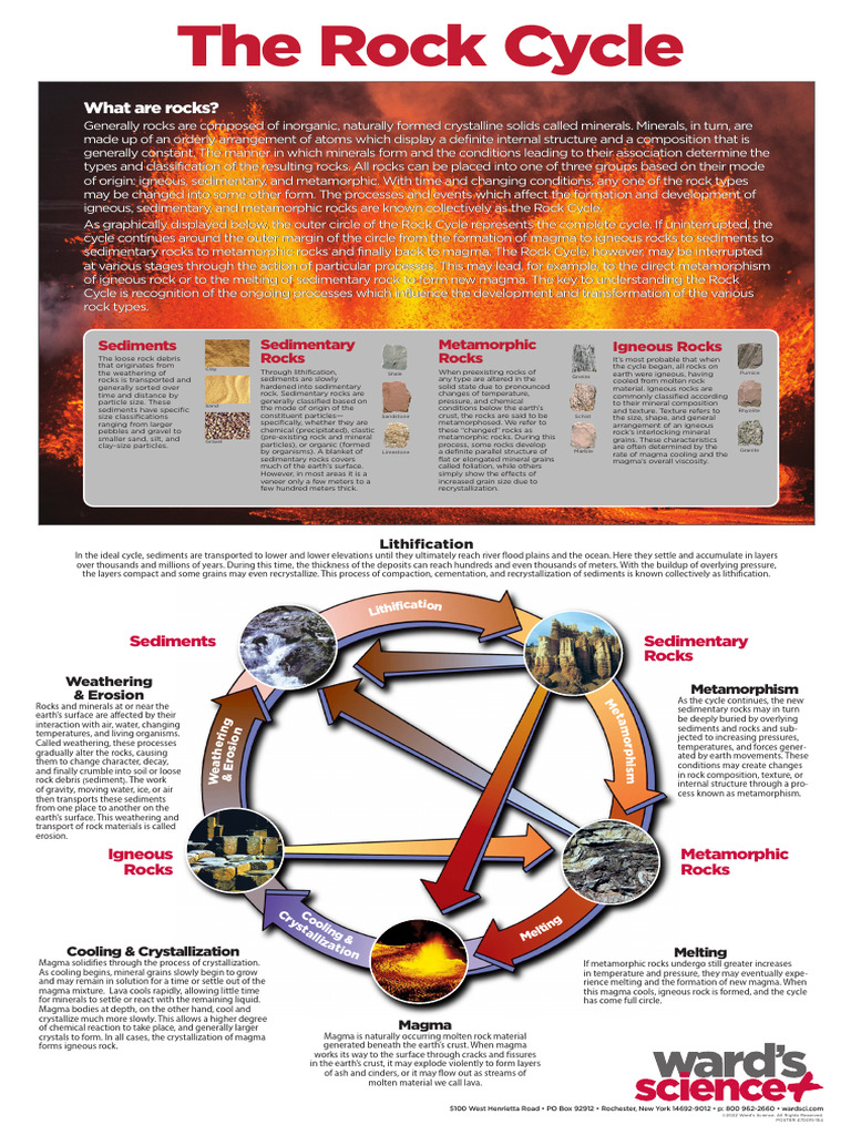 Understanding the Rock Cycle | PDF | Rock (Geology) | Sedimentary Rock