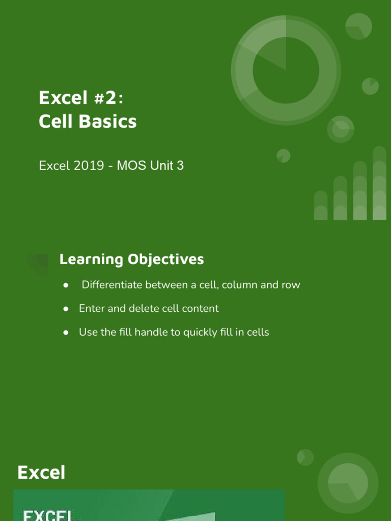 Excel 2019 Cell Basics Guide | PDF