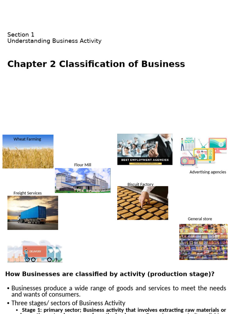 Business Activity Classification Explained | PDF | Employment ...